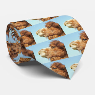 Camel Animal Slips