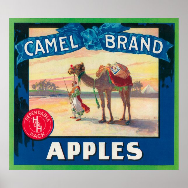 Camel Apple-etikett - delstaten Washington Poster (Framsidan)