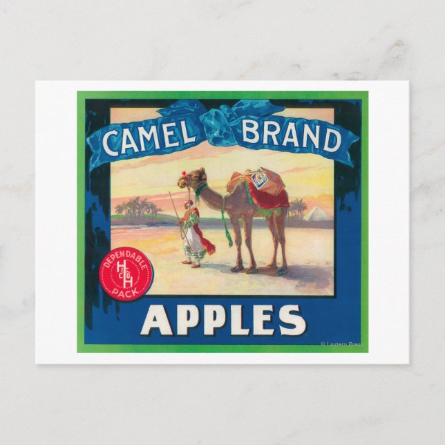 Camel Apple-etikett - delstaten Washington Vykort (Framsida)