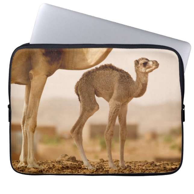Camel Baby Laptop Fodral (Framsidan)