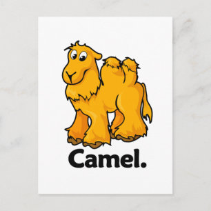 Camel Camel. Vykort