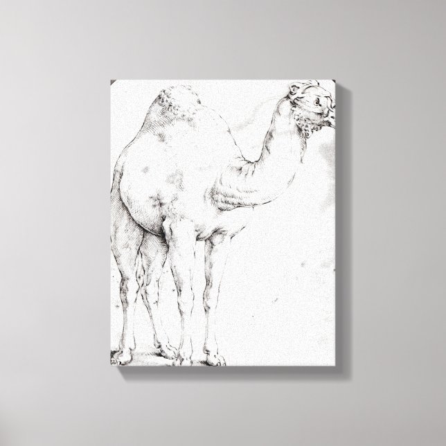 Camel Canvastryck (Framsida)