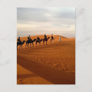 Camel caravan-ökans vackra miljö vykort