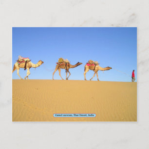 Camel caravan, Thar Desert, Indien Vykort