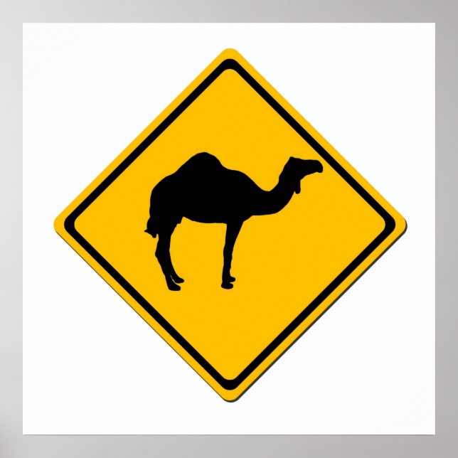 Camel Crossing Poster (Framsidan)