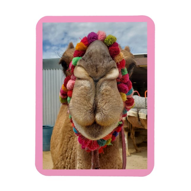 Camel Cuteness Rosa Magnet (Vertikal)