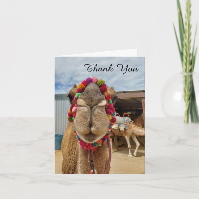 Camel Cuteness Tackkort Card (Framsida)