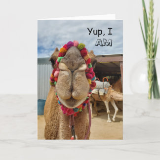 Camel Cutness tänker på ditt kort
