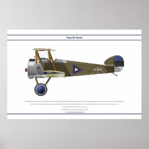 Camel Estland Poster