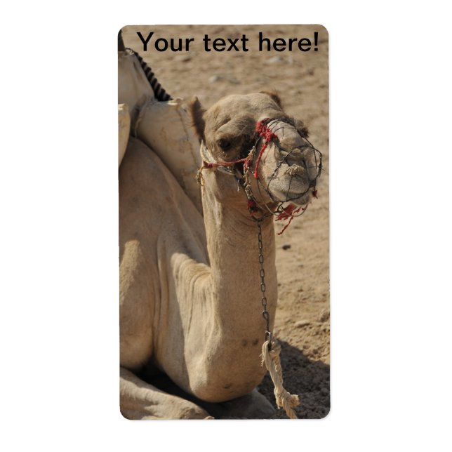 Camel Fraktsedel (Framsidan)