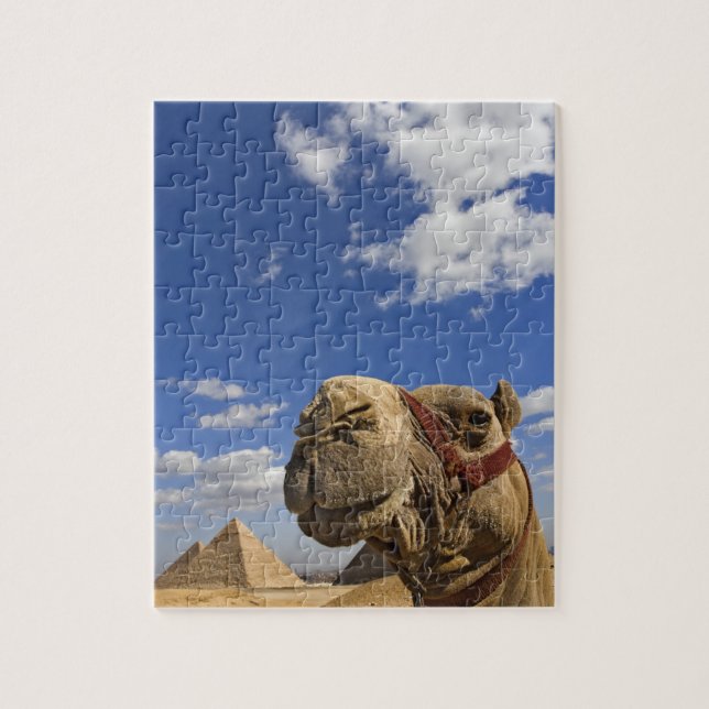 Camel framför pyramiderna Giza, Egypten, Pussel (Vertikal)