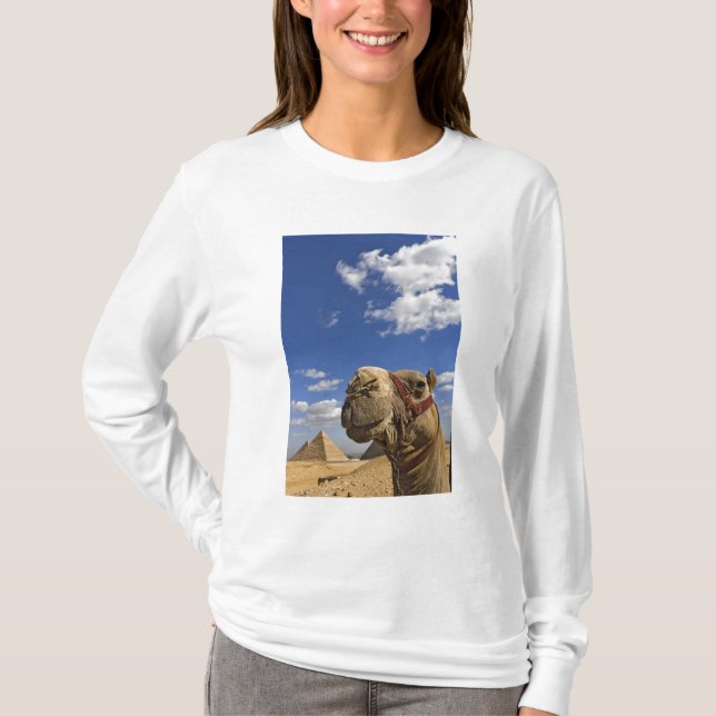 Camel framför pyramiderna Giza, Egypten, Tee Shirt (Framsida)