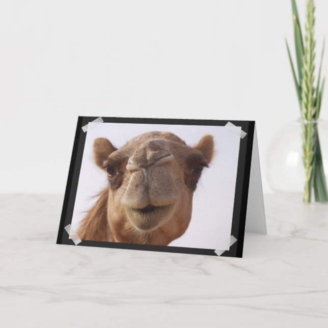 Camel Greeting Card Kort (Framsida)