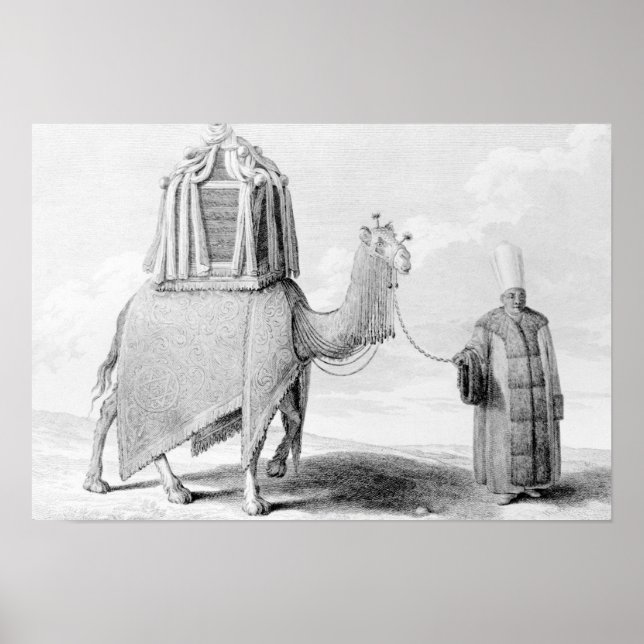 Camel Helig Poster (Framsidan)