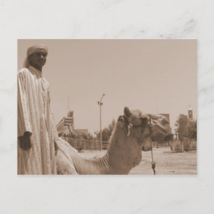 Camel herder vykort