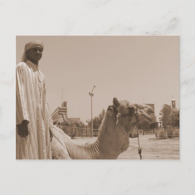 Camel herder vykort (Framsida)