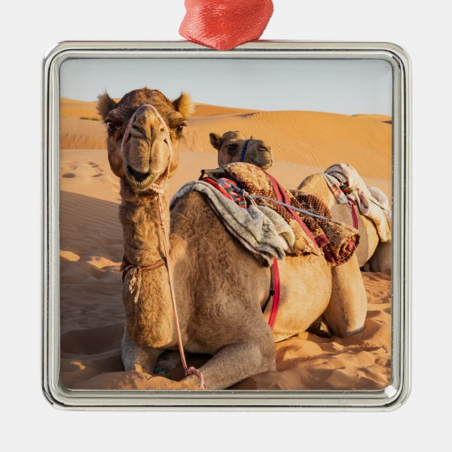 Camel i Oman-öknen Julgransprydnad Metall (Framsidan)