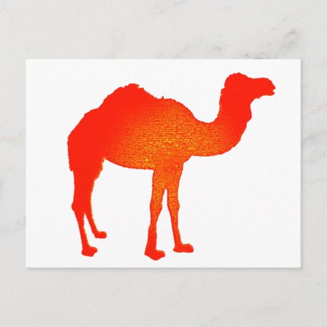 Camel in Red Vykort (Framsida)