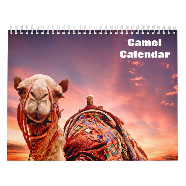 Camel Kalender (Omslag)
