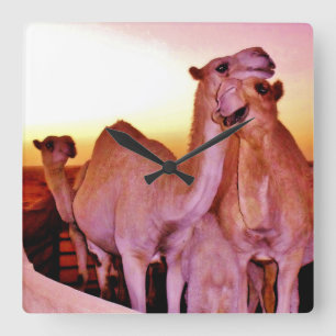 Camel Kärlek Fyrkantig Klocka
