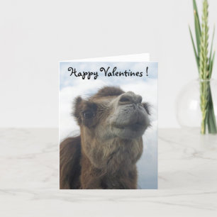 Camel kiss helgkort