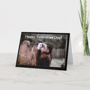 Camel Kiss - Valentines day Card Helgkort