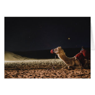 Camel Ljuger i Midnight Himlar Hälsningskort