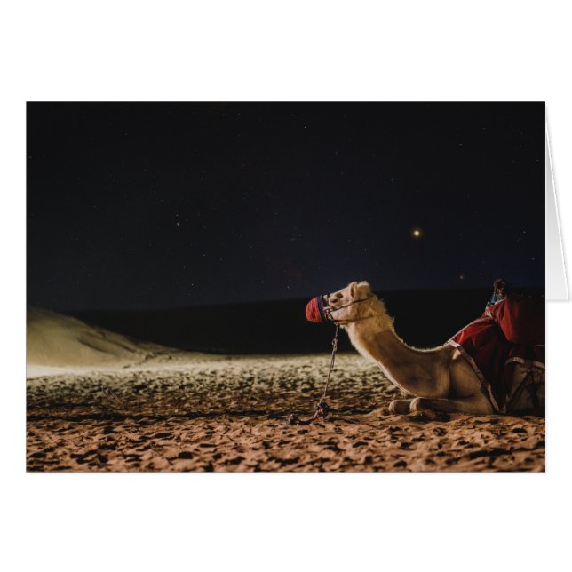 Camel Ljuger i Midnight Himlar Hälsningskort (Framsidan Horizontal)