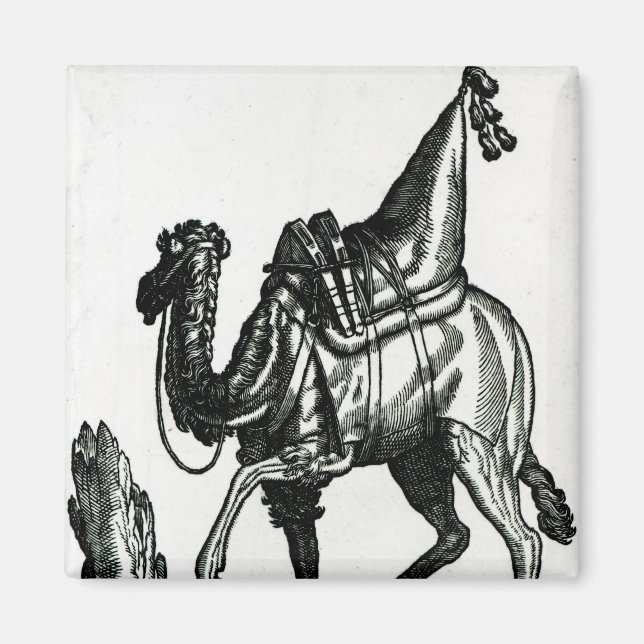 Camel Magnet (Framsidan)