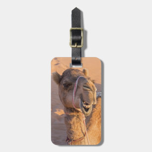 Camel med ett lustigt ansiktsuttryck - Oman Bagagebricka