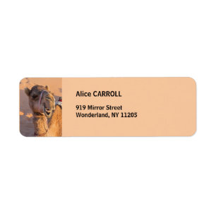 Camel med ett lustigt ansiktsuttryck - Oman Returadress Etikett