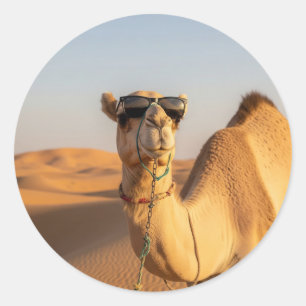 Camel med solglasögon Saudiarabien Travel Runt Klistermärke