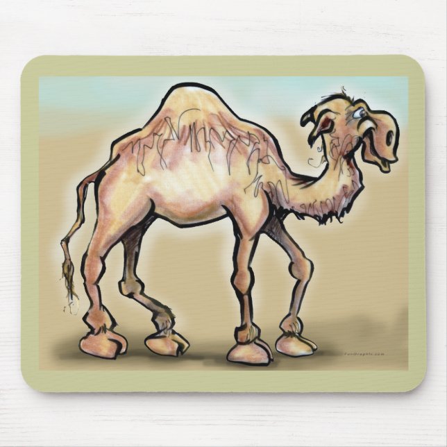 Camel Musmatta (Framsidan)