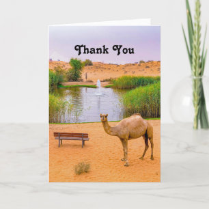 Camel Oasis Tack Kort