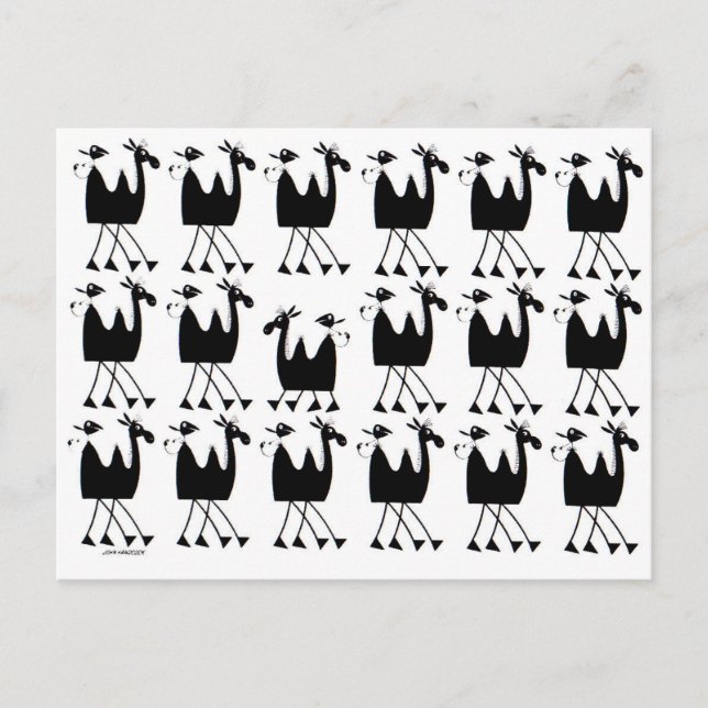 Camel Parad Vykort (Framsida)