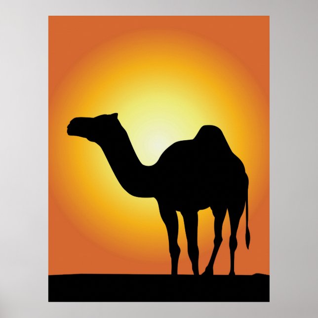 Camel Poster (Framsidan)