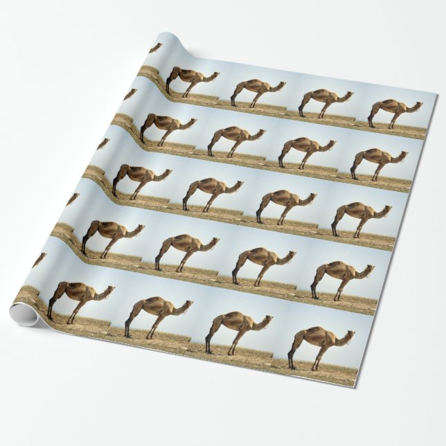 Camel Presentpapper (Utrullad)
