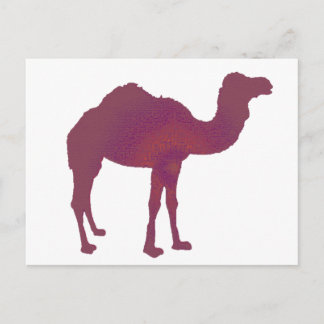 Camel Prestige Vykort