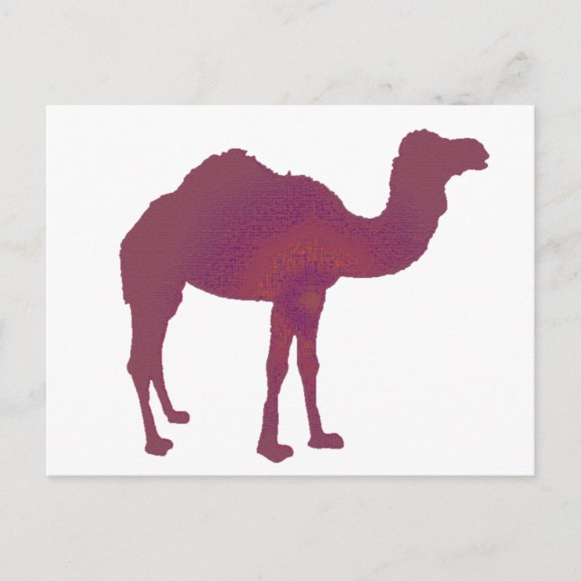 Camel Prestige Vykort (Framsida)