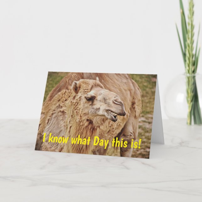 Camel Punny Humppy Birthday Card Kort (Framsida)