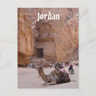 Camel Resting i Petra Jordan Vykort