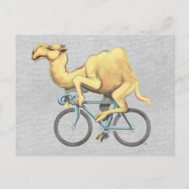 Camel Riding a Bicycle Vykort