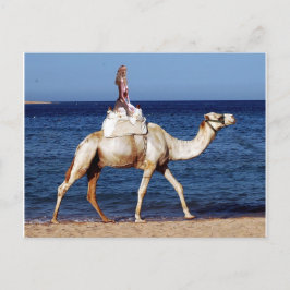 Camel Riding på stranden Vykort