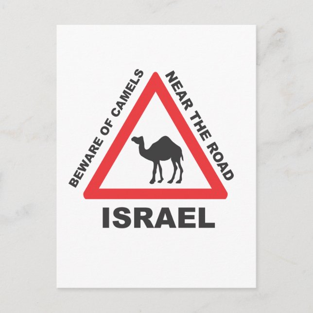 Camel Sign in Israel Vykort (Framsida)