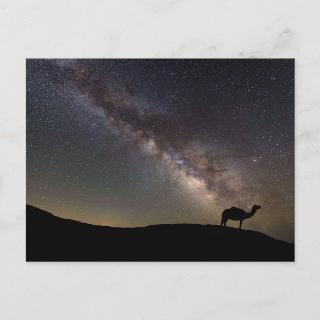 Camel Silhouette och Milkyway Vykort (Framsida)