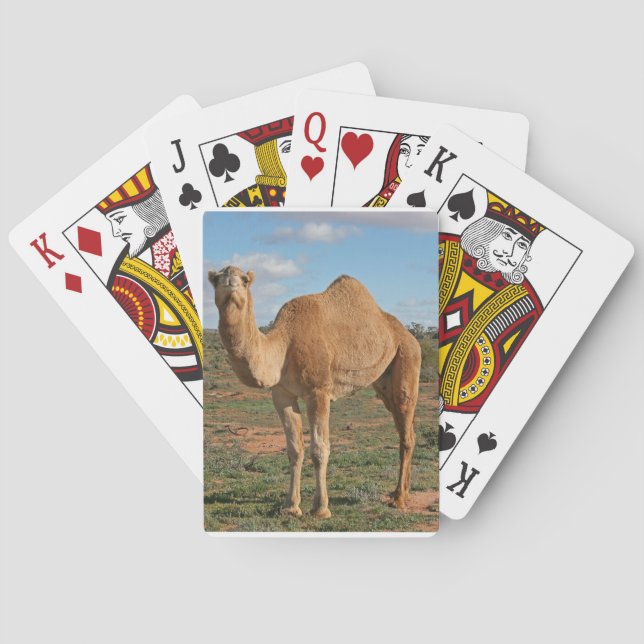 Camel Spel Kort (Baksidan)