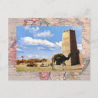 Camel stannar i öknen vykort