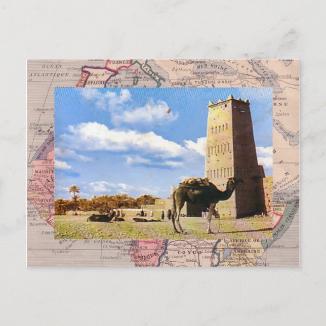 Camel stannar i öknen vykort (Framsida)