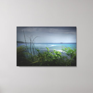 Camel Sten Canvastryck