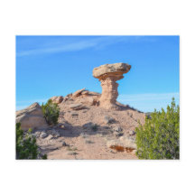 Camel Sten, New mexico, 2014